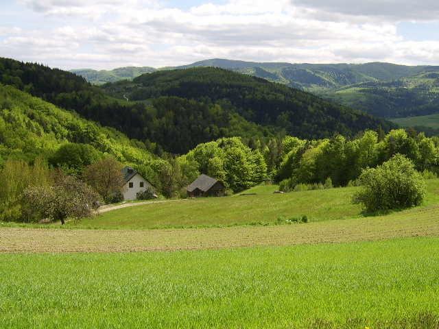 Agroturystyka Millerowka Kamionka Mala  エクステリア 写真