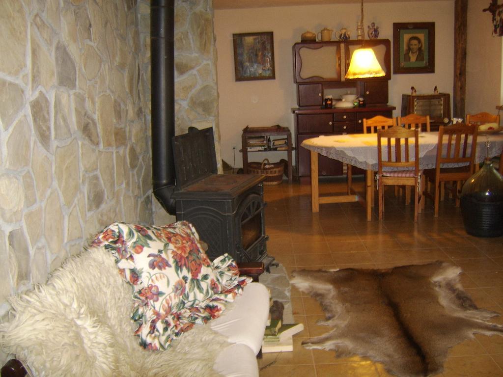 Agroturystyka Millerowka Kamionka Mala  エクステリア 写真