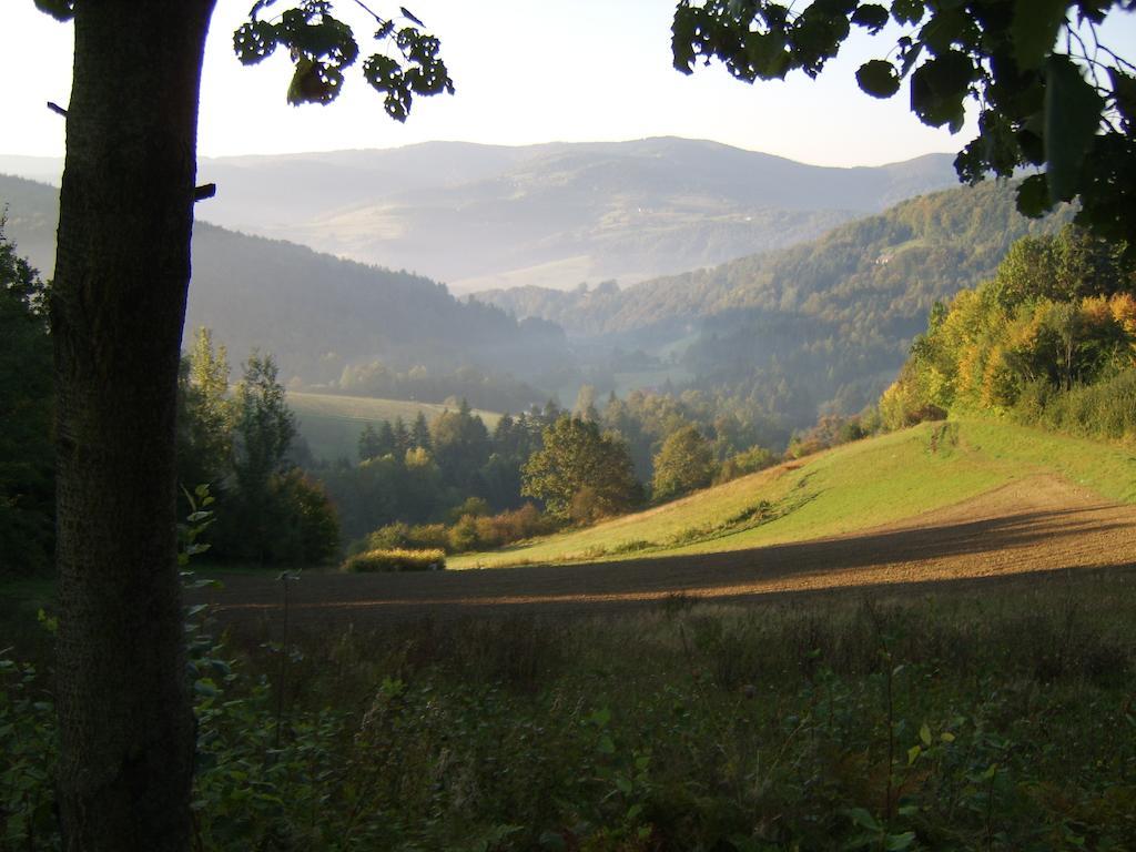 Agroturystyka Millerowka Kamionka Mala  エクステリア 写真