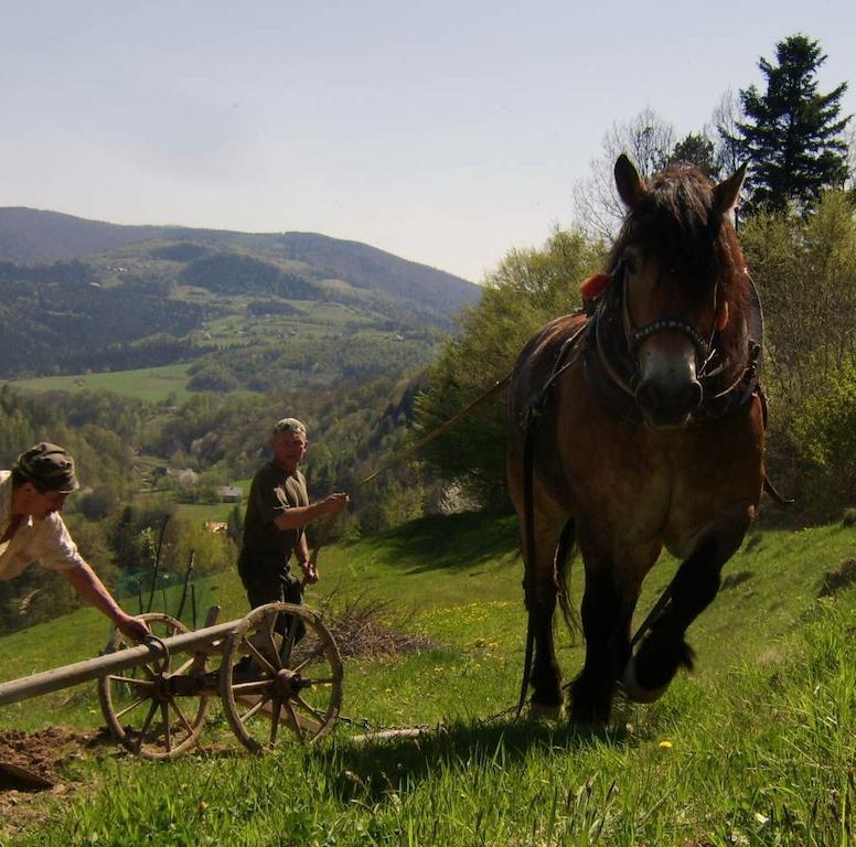 Agroturystyka Millerowka Kamionka Mala  エクステリア 写真